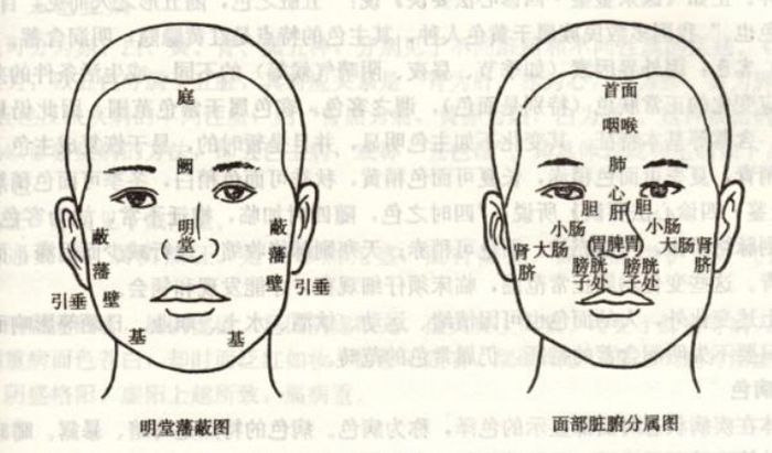 【中醫(yī)診斷】2019年中醫(yī)助理醫(yī)師考試中醫(yī)診斷學(xué)精華考點(diǎn)