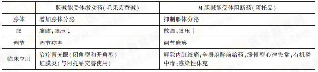 膽堿能受體激動(dòng)藥VS膽堿能受體阻斷藥