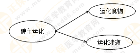 《中藥學(xué)綜合知識(shí)與技能》的藏象