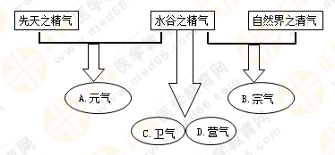 專業(yè)師資帶你學(xué)（八）：執(zhí)業(yè)藥師《中藥綜》生命活動的基本物質(zhì)！善用圖解！