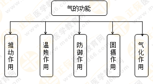 專業(yè)師資帶你學(xué)（八）：執(zhí)業(yè)藥師《中藥綜》生命活動的基本物質(zhì)！善用圖解！