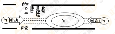 專業(yè)師資帶你學(xué)（八）：執(zhí)業(yè)藥師《中藥綜》生命活動的基本物質(zhì)！善用圖解！