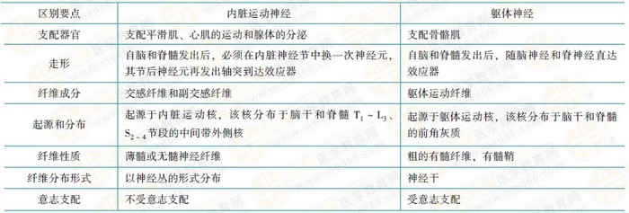 內(nèi)臟運動神經(jīng)與軀體運動神經(jīng)的區(qū)別 