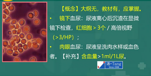 湯以恒2019臨床執(zhí)業(yè)醫(yī)師泌尿系統(tǒng)科目免費(fèi)視頻課更新！