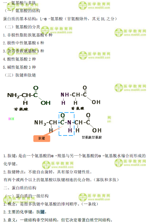 臨床執(zhí)業(yè)醫(yī)師蛋白質(zhì)機構(gòu)與功能高頻考點串講（生物化學(xué)）