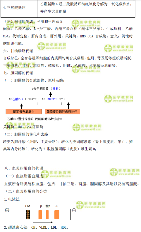 脂類代謝