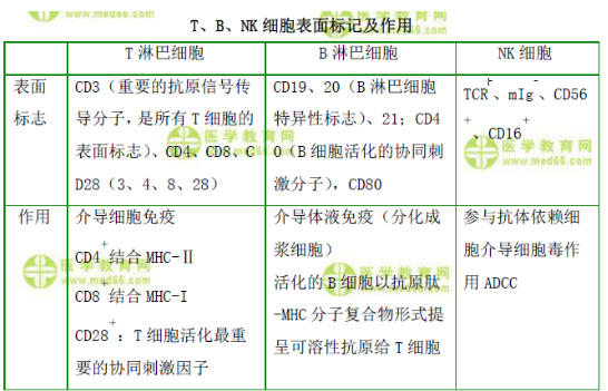 T、B、NK細(xì)胞表面標(biāo)記及作用