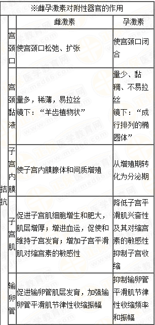 雌、孕激素的生理作用及附性器官的周期性變化