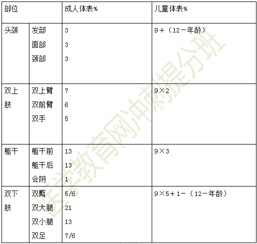 燒傷面積九分法