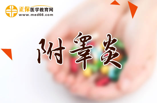 附睪炎分幾類？臨床表現(xiàn)有何特點(diǎn)？