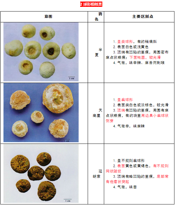 每日沖刺計(jì)劃！2019執(zhí)業(yè)藥師《中藥學(xué)專(zhuān)業(yè)知識(shí)二》第一篇！