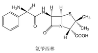 【西藥三科】執(zhí)業(yè)藥師考試西藥三科出題規(guī)律｜重難點匯總！