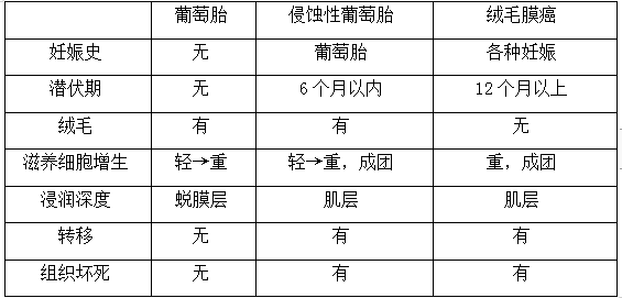 絨癌、侵蝕性葡萄胎、葡萄胎的鑒別