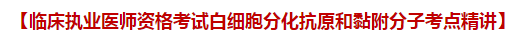 臨床執(zhí)業(yè)醫(yī)師資格考試白細胞分化抗原和黏附分子考點精講