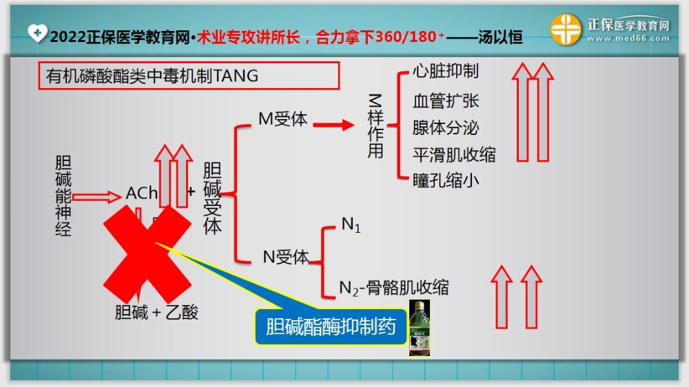 臨床醫(yī)師基礎(chǔ)測試15-延伸