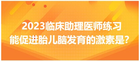 2023臨床助理醫(yī)師練習(xí)-促進(jìn)胎兒腦發(fā)育的激素是？