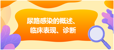 尿路感染的概述、臨床表現(xiàn)、診斷