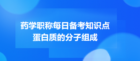 蛋白質(zhì)的分子組成-2024藥學(xué)職稱考試每日備考知識(shí)點(diǎn)