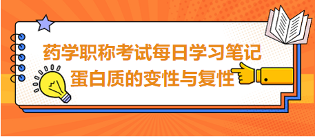 2024藥學職稱考試每日學習筆記：蛋白質的變性與復性