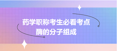 酶的分子組成-2024藥學職稱考生必看考點