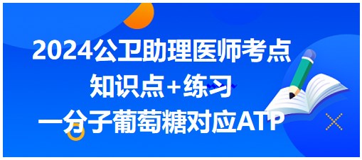 一分子葡萄糖對應(yīng)ATP