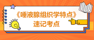 《唾液腺組織學(xué)特點(diǎn)》速記考點(diǎn)